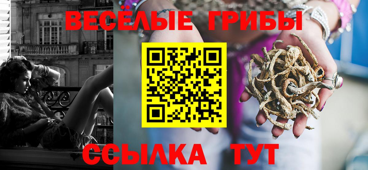 Галлюциногенные грибы Psilocybine cubensis Каменск-Шахтинский