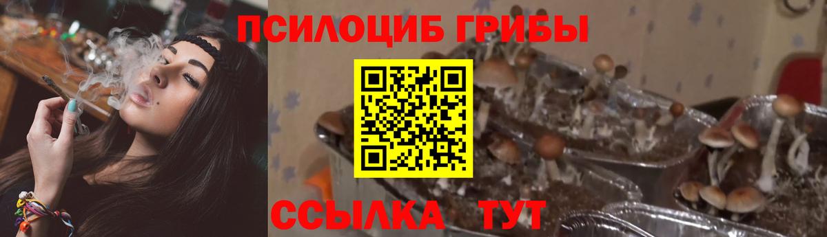 Cocaine  Вход с VPN  Бошки Шишки  Мефедрон кристаллы  Метадон  Каменск-Шахтинский  ГАШИШ 